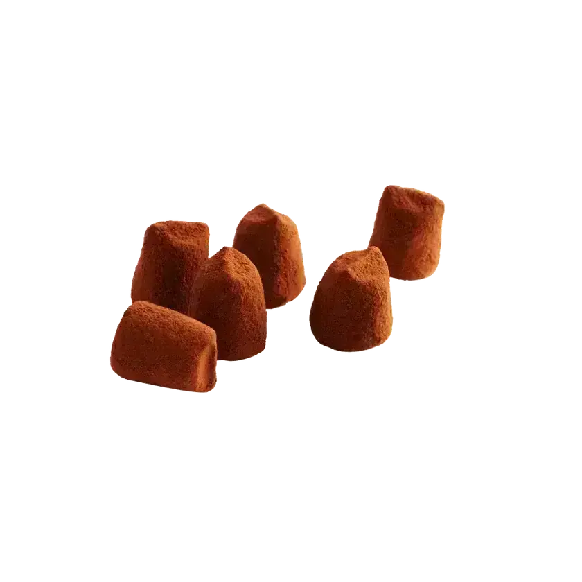 Cocoa-dusted chocolate truffles on a white background