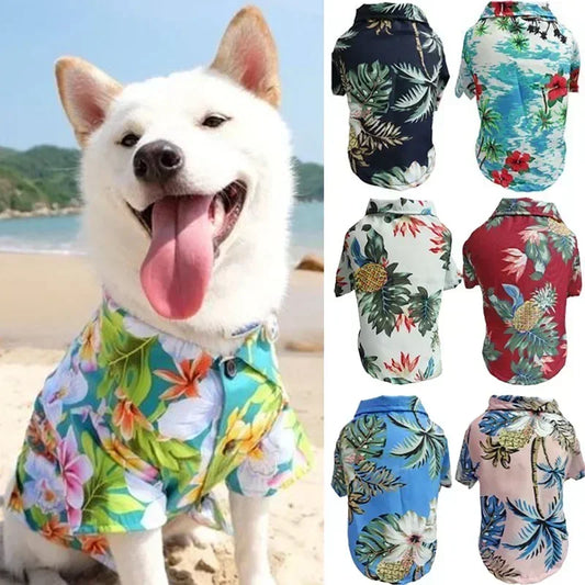 Dog wearing a colorful floral shirt on a beach with additional shirts displayed.