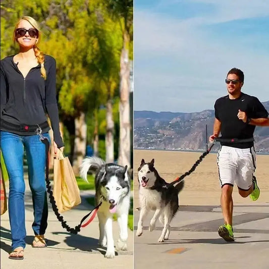 Hands-Free Dog Leash for Running & Jogging