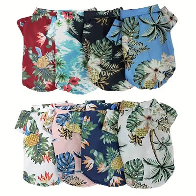 Set of colorful swim trunks with tropical patterns on a white background