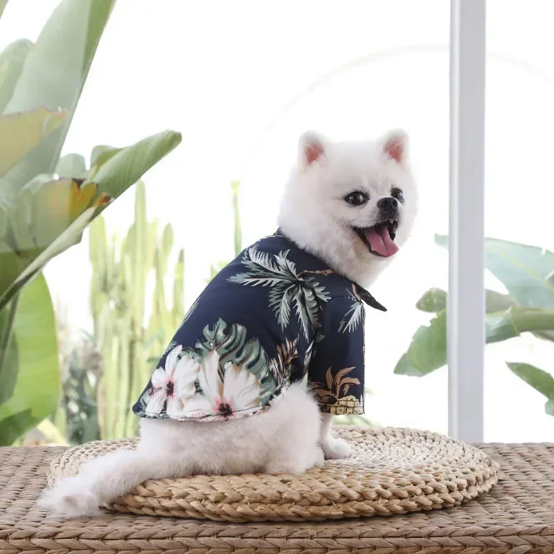 Small white dog wearing a dark blue floral shirt sitting on a woven mat with plants in the background