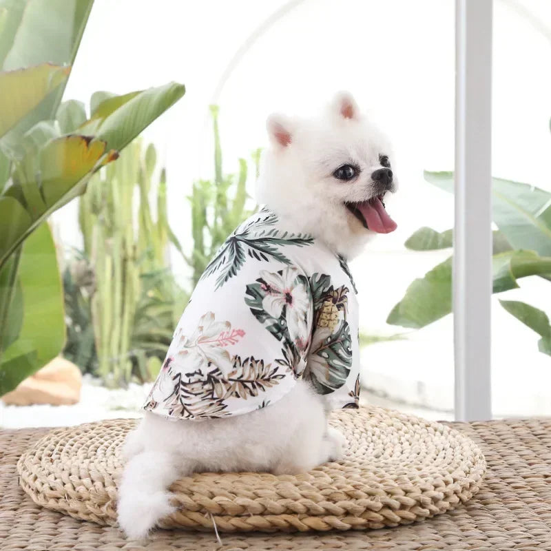 Small white dog wearing a tropical shirt sitting on a woven mat with plants in the background