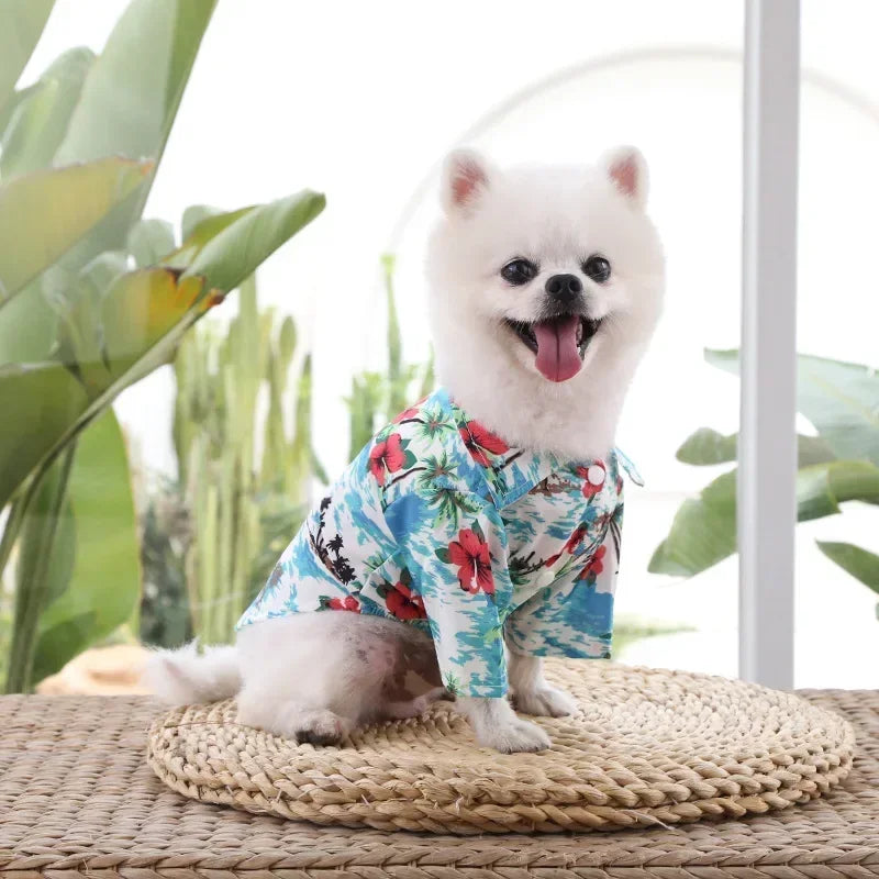 Small white dog wearing a colorful Hawaiian shirt on a woven mat with plants in the background