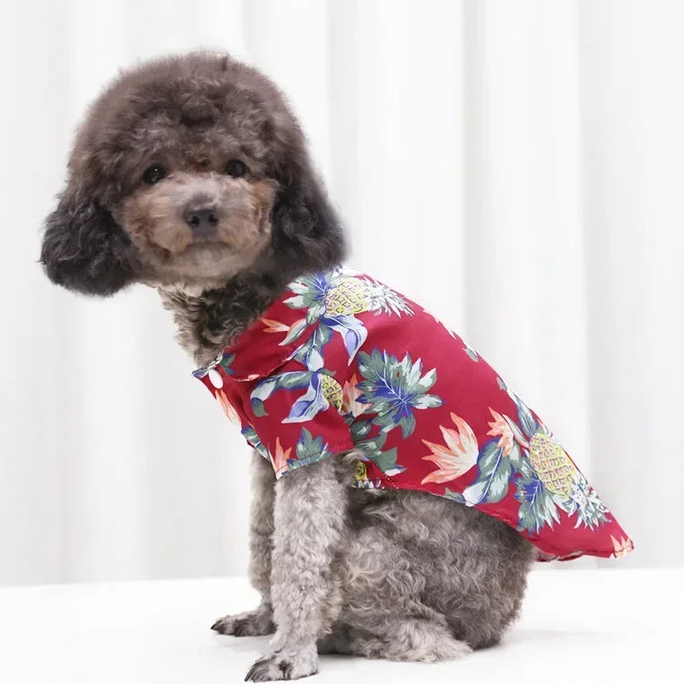 Dog wearing a red floral shirt on a white background