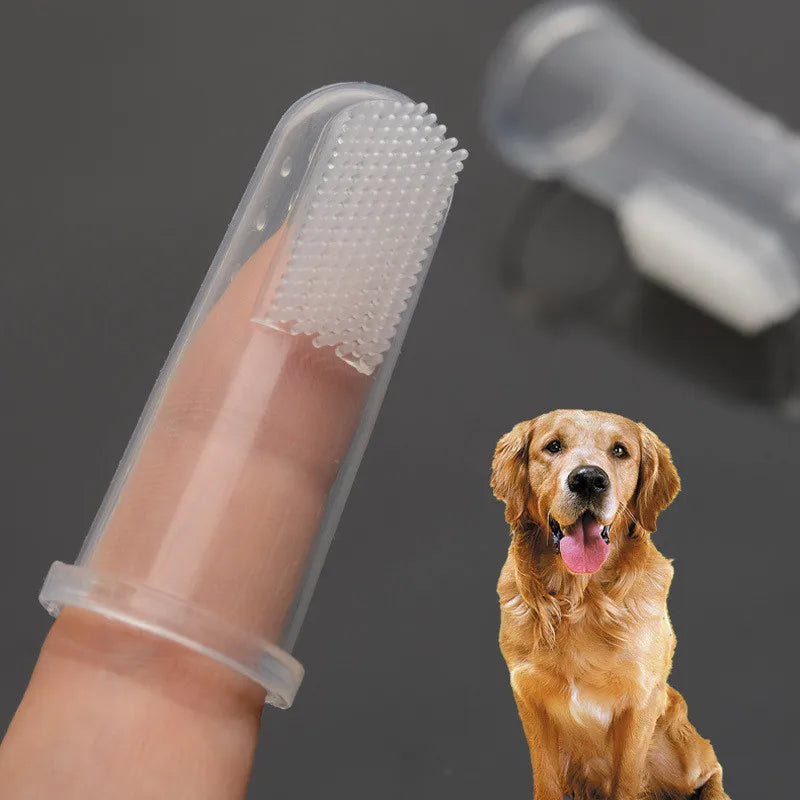 Small dog toothbrush on a finger with a golden retriever in the background