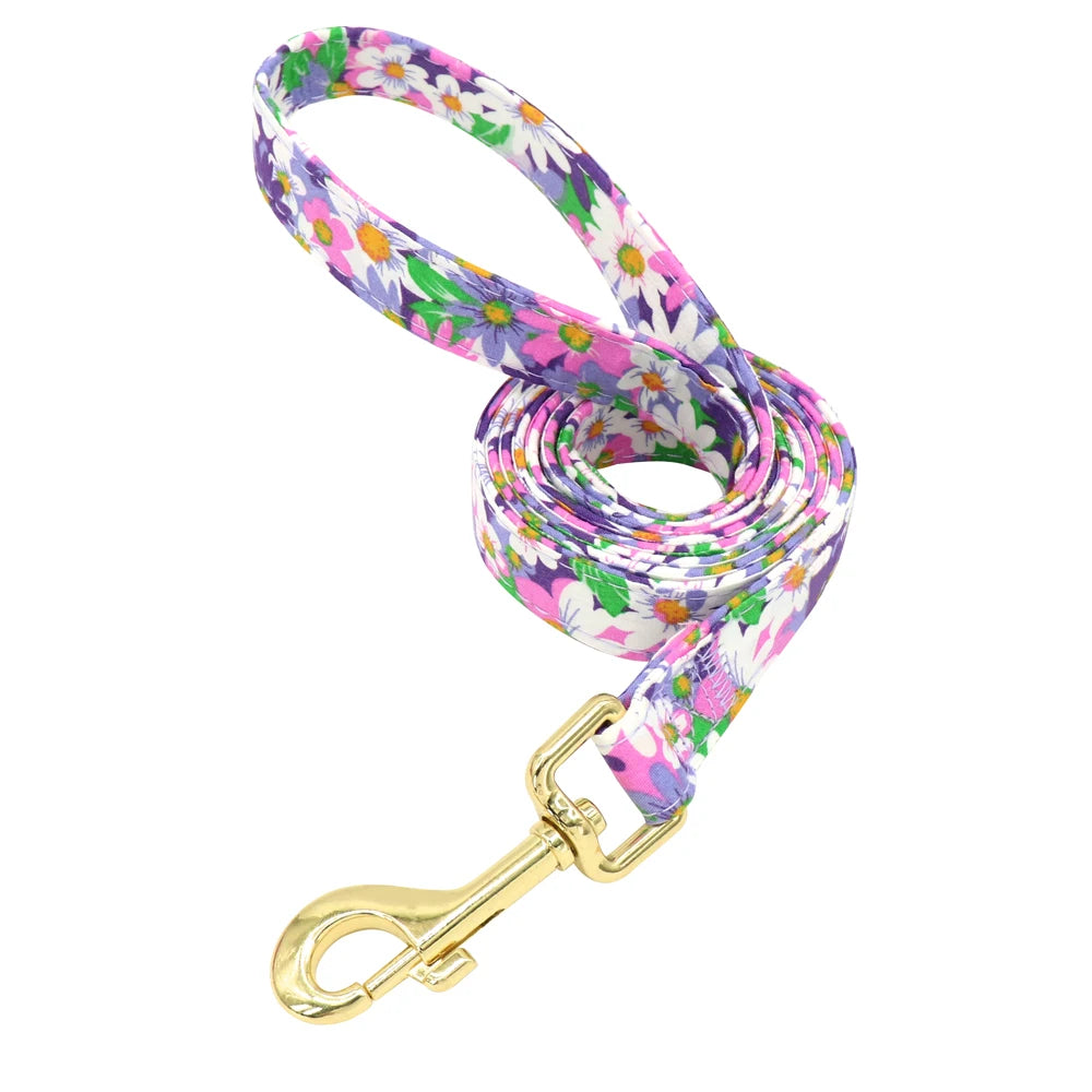 Personalized Dog Collar and Leash Set