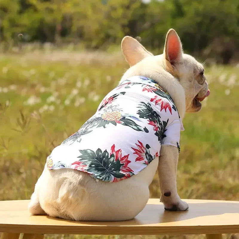 Dog wearing a floral shirt sitting on a wooden surface with a natural background
