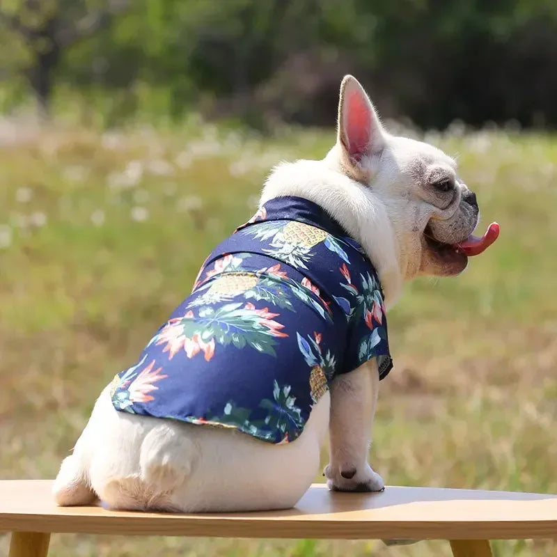 Dog wearing a floral shirt sitting on a wooden bench outdoors