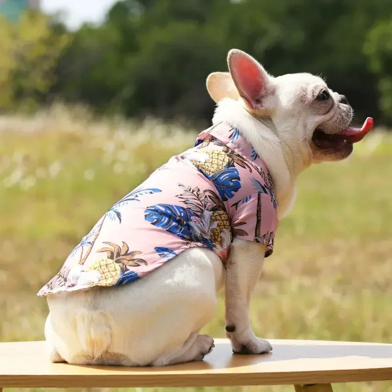 Dog wearing a pink floral shirt sitting on a wooden surface with a blurred natural background