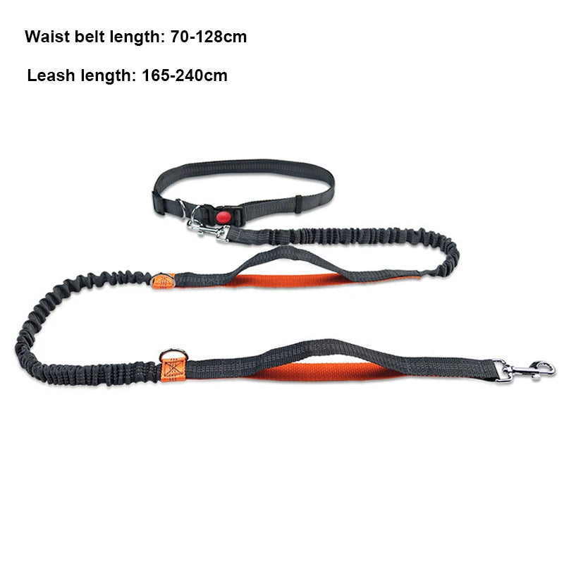 Hands-Free Dog Leash for Running & Jogging
