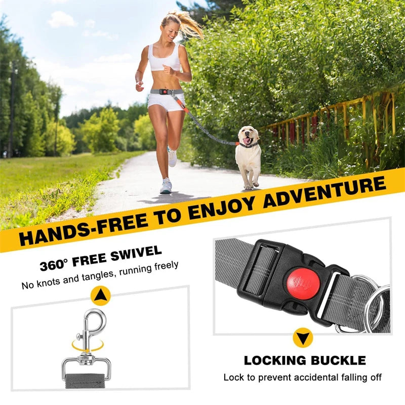 Hands-Free Dog Leash for Running & Jogging