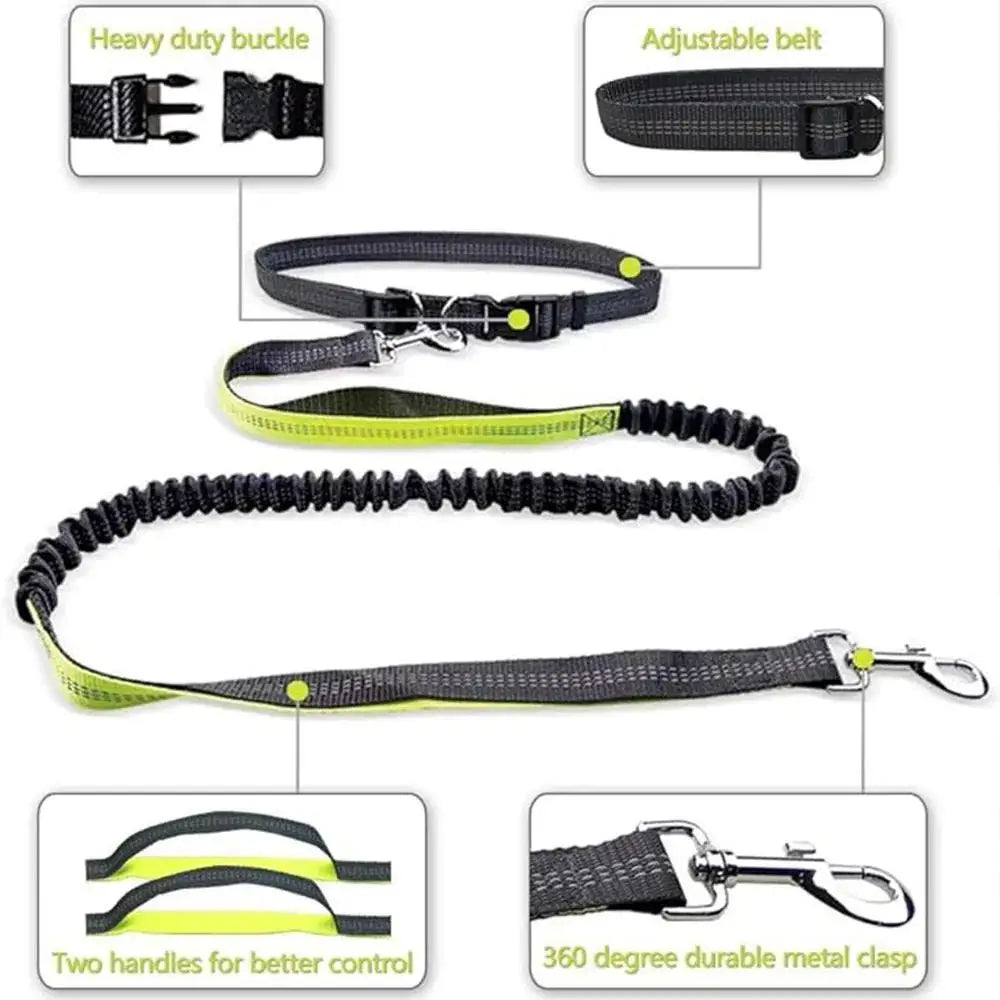 Hands-Free Dog Leash for Running & Jogging