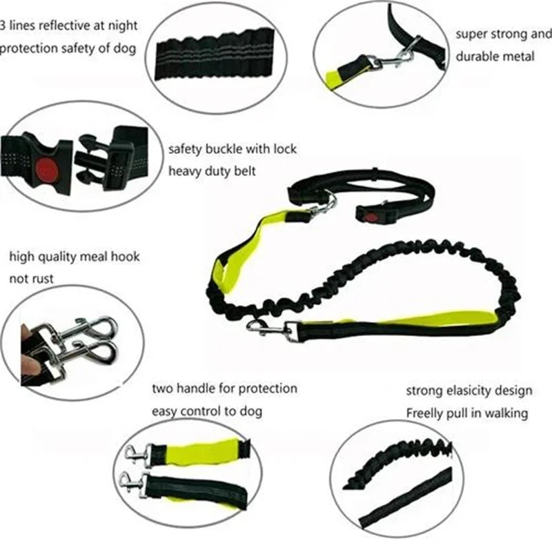Hands-Free Dog Leash for Running & Jogging