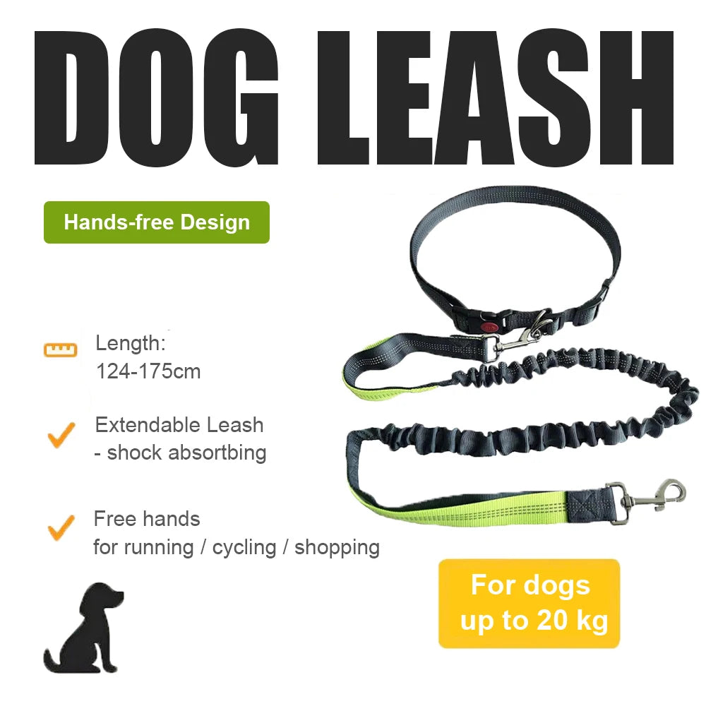 Hands-Free Dog Leash for Running & Jogging
