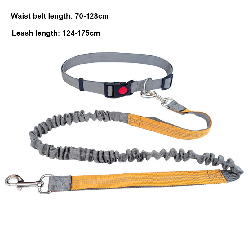 Hands-Free Dog Leash for Running & Jogging