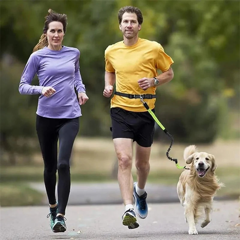 Hands-Free Dog Leash for Running & Jogging