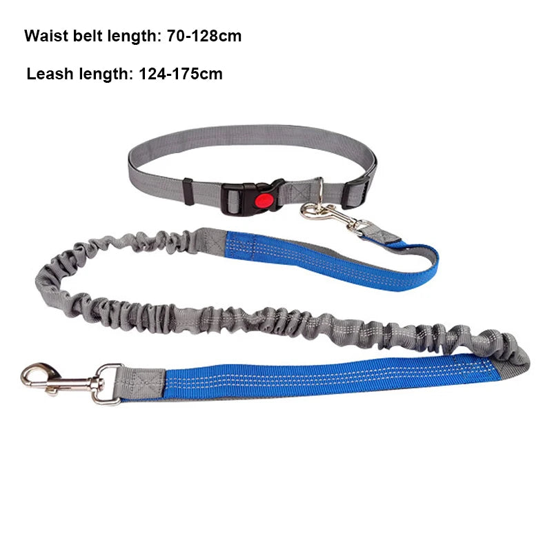 Hands-Free Dog Leash for Running & Jogging