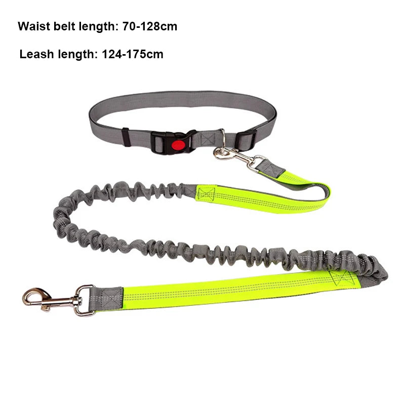Hands-Free Dog Leash for Running & Jogging