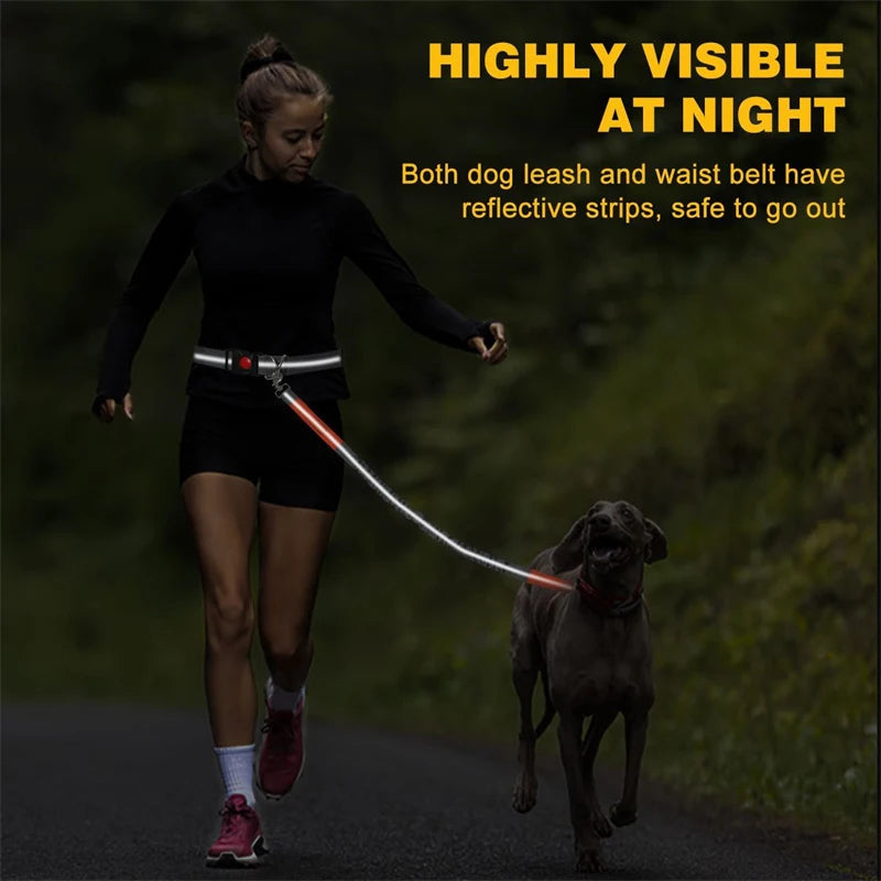 Hands-Free Dog Leash for Running & Jogging