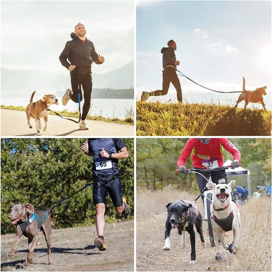 Hands-Free Dog Leash for Running & Jogging