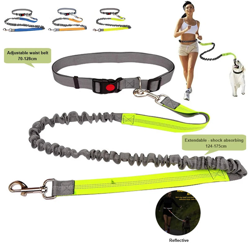 Hands-Free Dog Leash for Running & Jogging