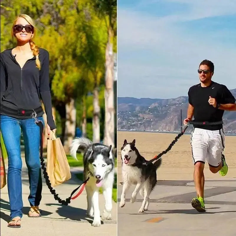 Hands-Free Dog Leash for Running & Jogging