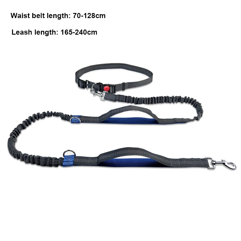 Hands-Free Dog Leash for Running & Jogging