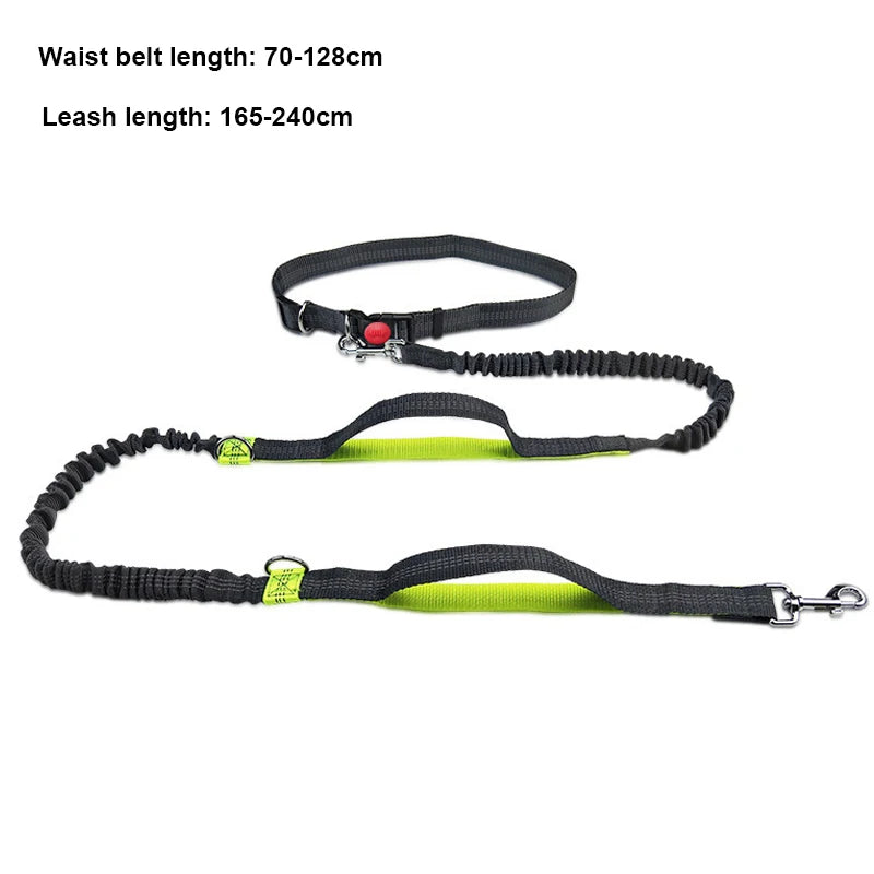 Hands-Free Dog Leash for Running & Jogging