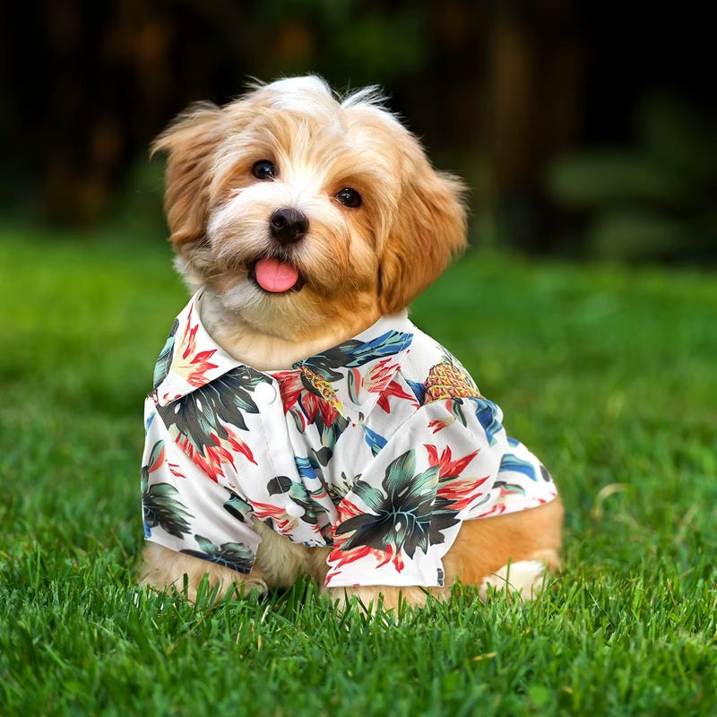 Vibrant Hawaiian Style Dog Shirts for Small - Medium Dogs