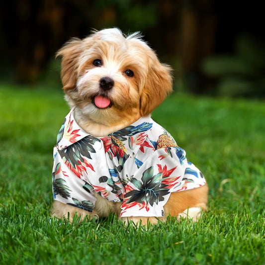 Vibrant Hawaiian Style Dog Shirts for Small - Medium Dogs