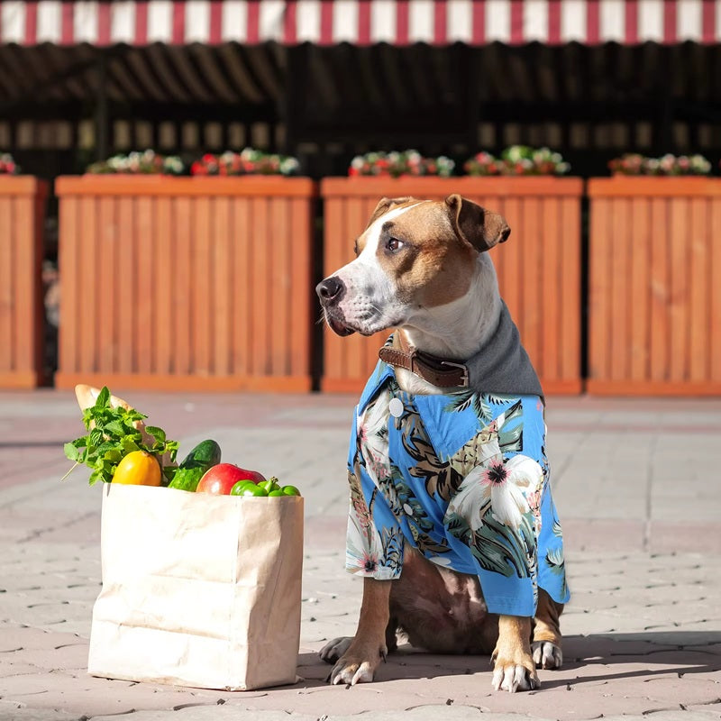 Vibrant Hawaiian Style Dog Shirts for Small - Medium Dogs